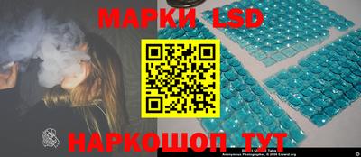 твердый Бердск