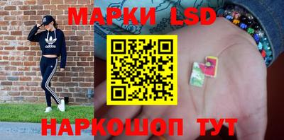 гидропоника Аша