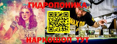 гидропоника Аша