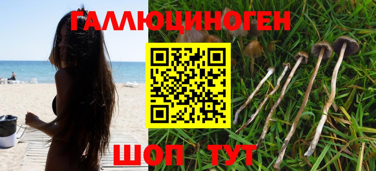 Псилоцибиновые грибы мухоморы Вязьма