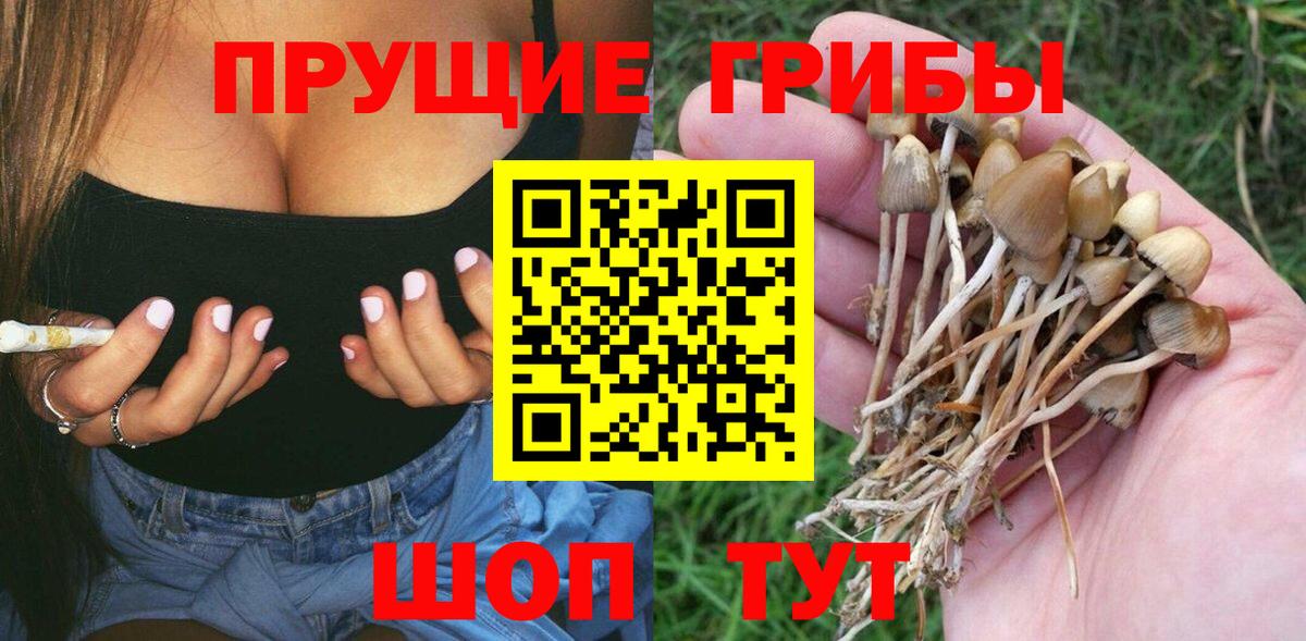 Псилоцибиновые грибы ЛСД  Вход с VPN  Вязьма  Галлюциногенные грибы MAGIC MUSHROOMS 